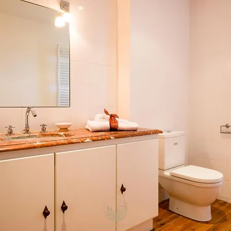 Maison Cantalauze - Pays Cathare - Carcassonne - Canal Du Midi Holiday home *