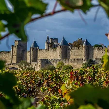 Maison Cantalauze - Pays Cathare - Carcassonne - Canal Du Midi Casa vacanze